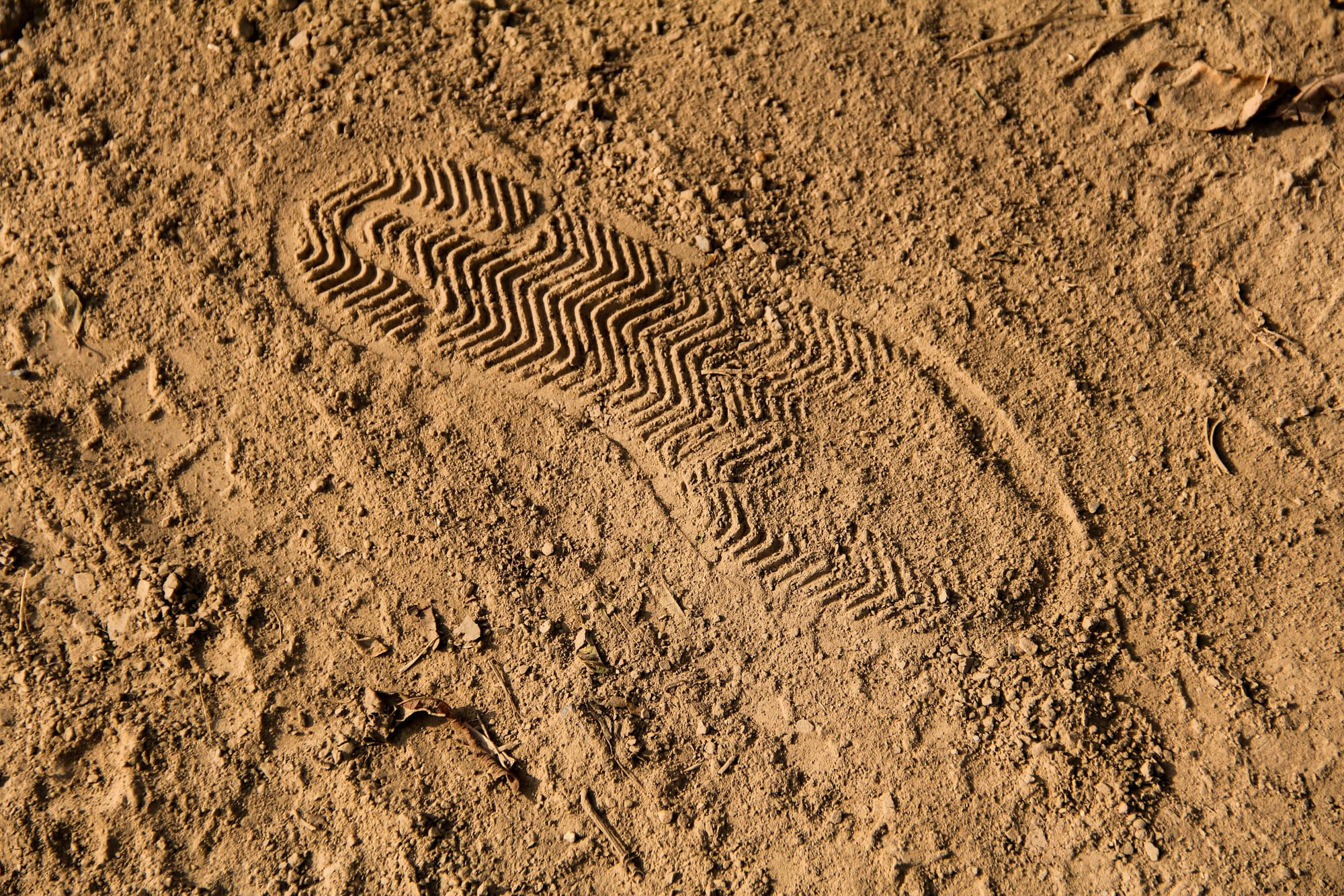 Clay, Sand, and Silt: Building a Soil Map of Your Homestead