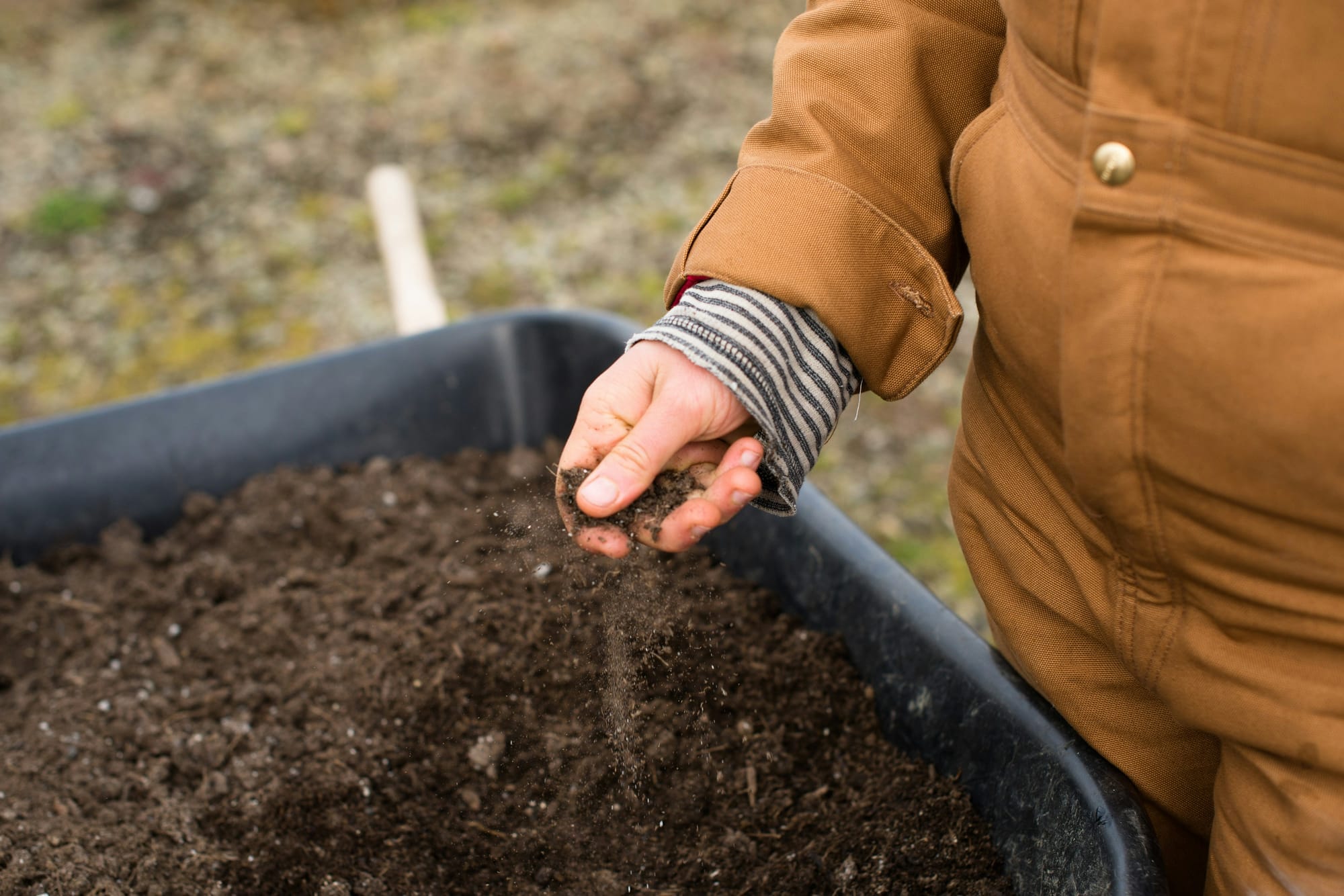 Clay, Sand, and Silt: Building a Soil Map of Your Homestead