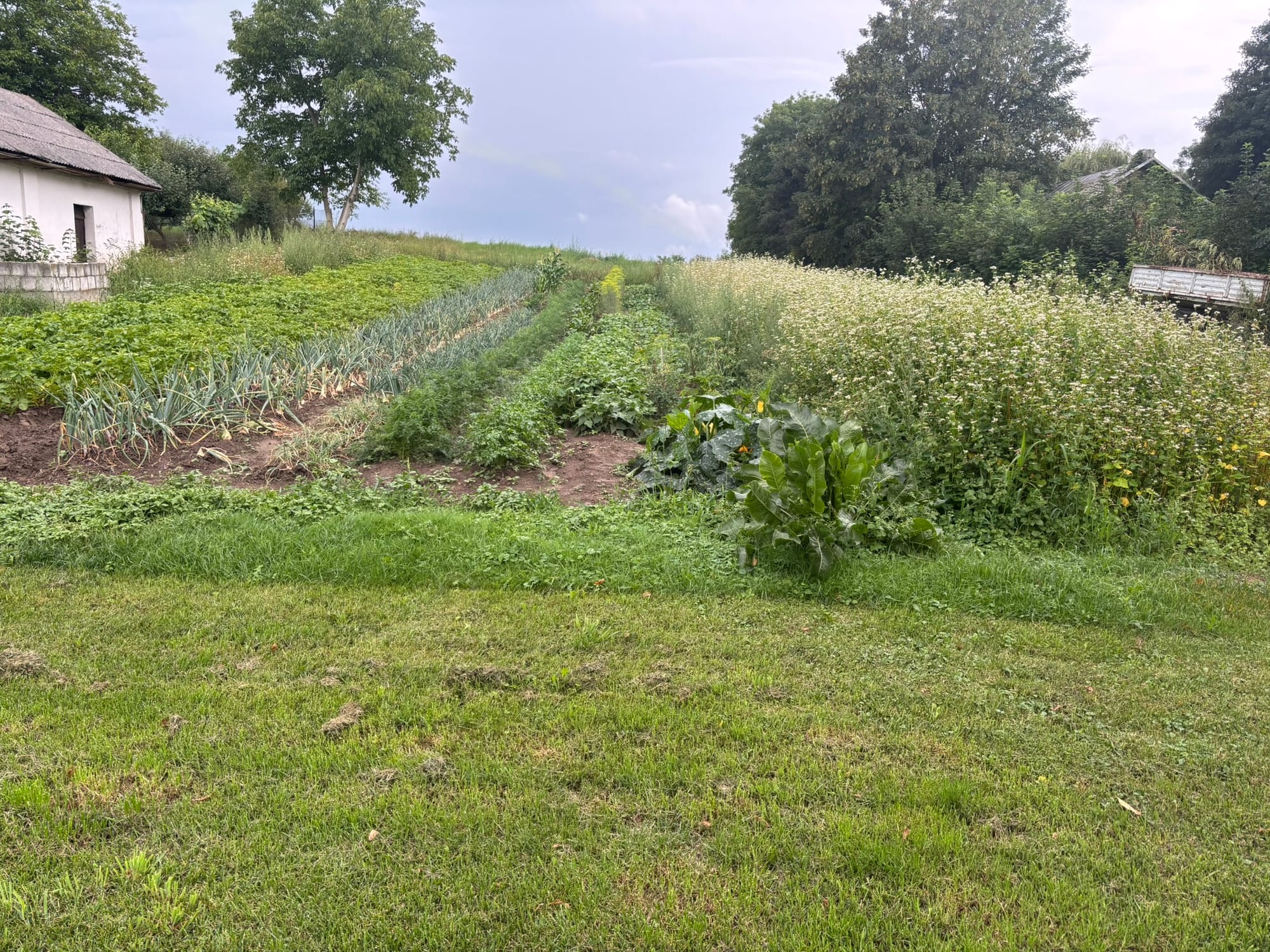 Embracing Sustainable Heritage: A Week on a Homestead in Eastern Poland