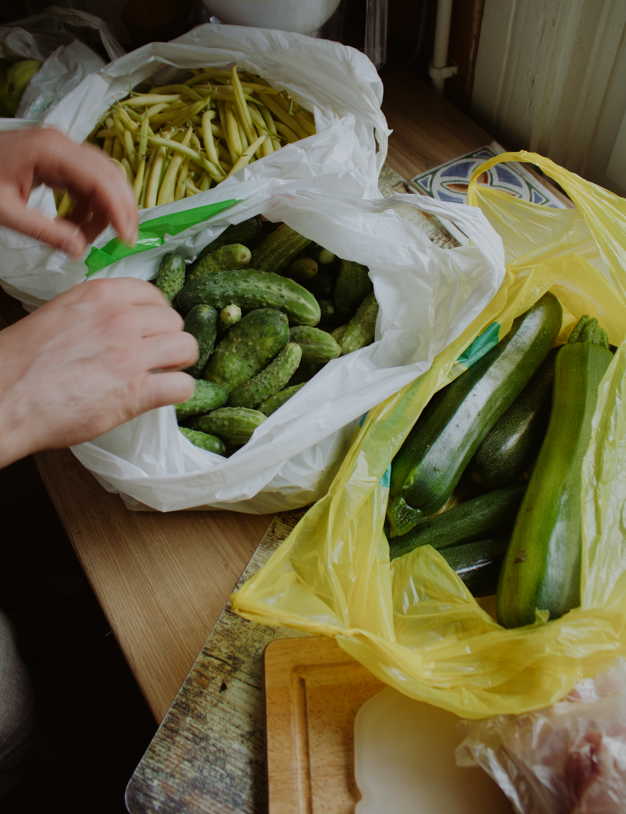 Embracing Sustainable Heritage: A Week on a Homestead in Eastern Poland