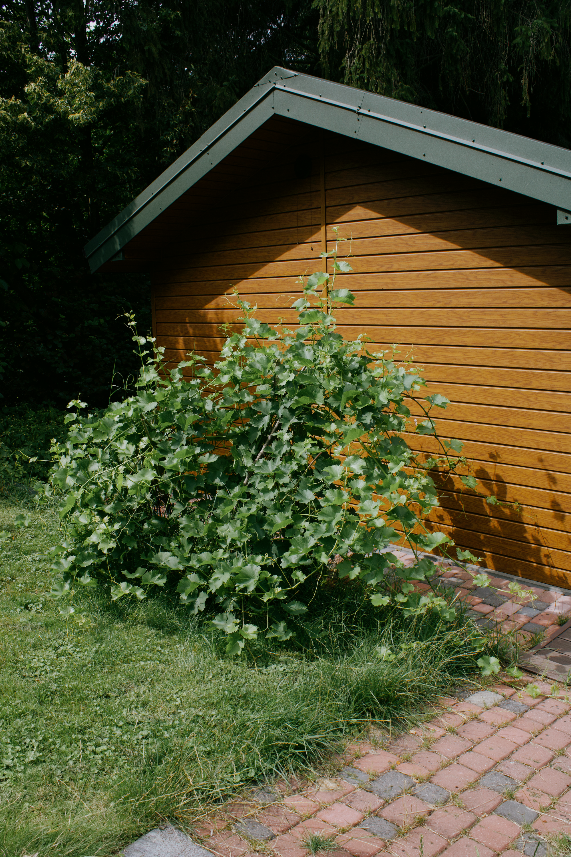 Embracing Sustainable Heritage: A Week on a Homestead in Eastern Poland