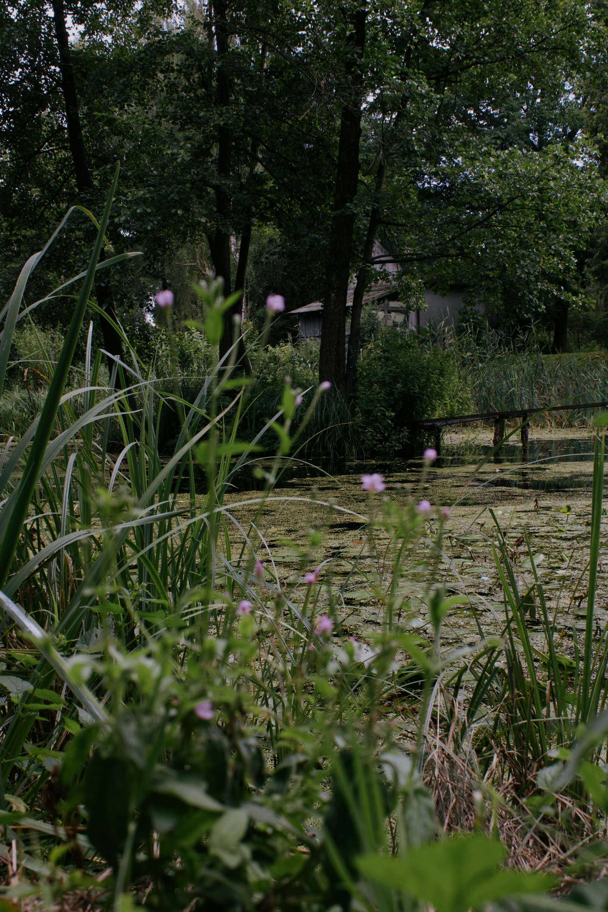 Embracing Sustainable Heritage: A Week on a Homestead in Eastern Poland