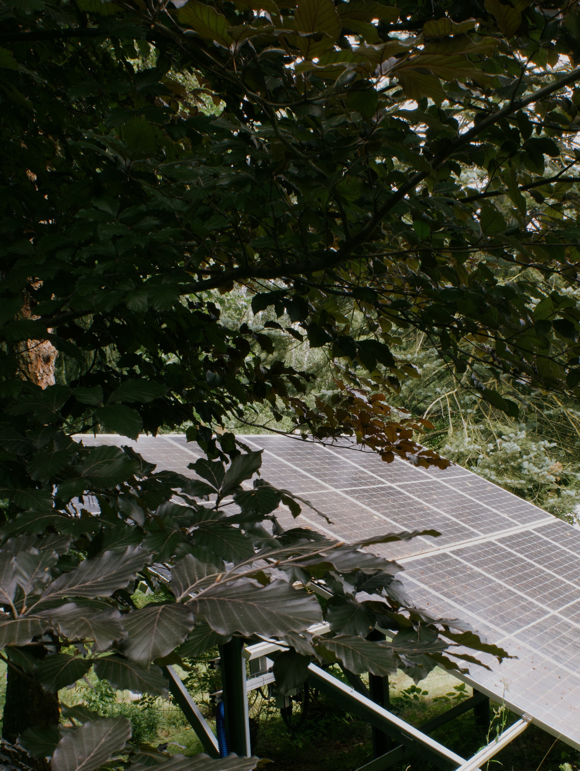 Embracing Sustainable Heritage: A Week on a Homestead in Eastern Poland