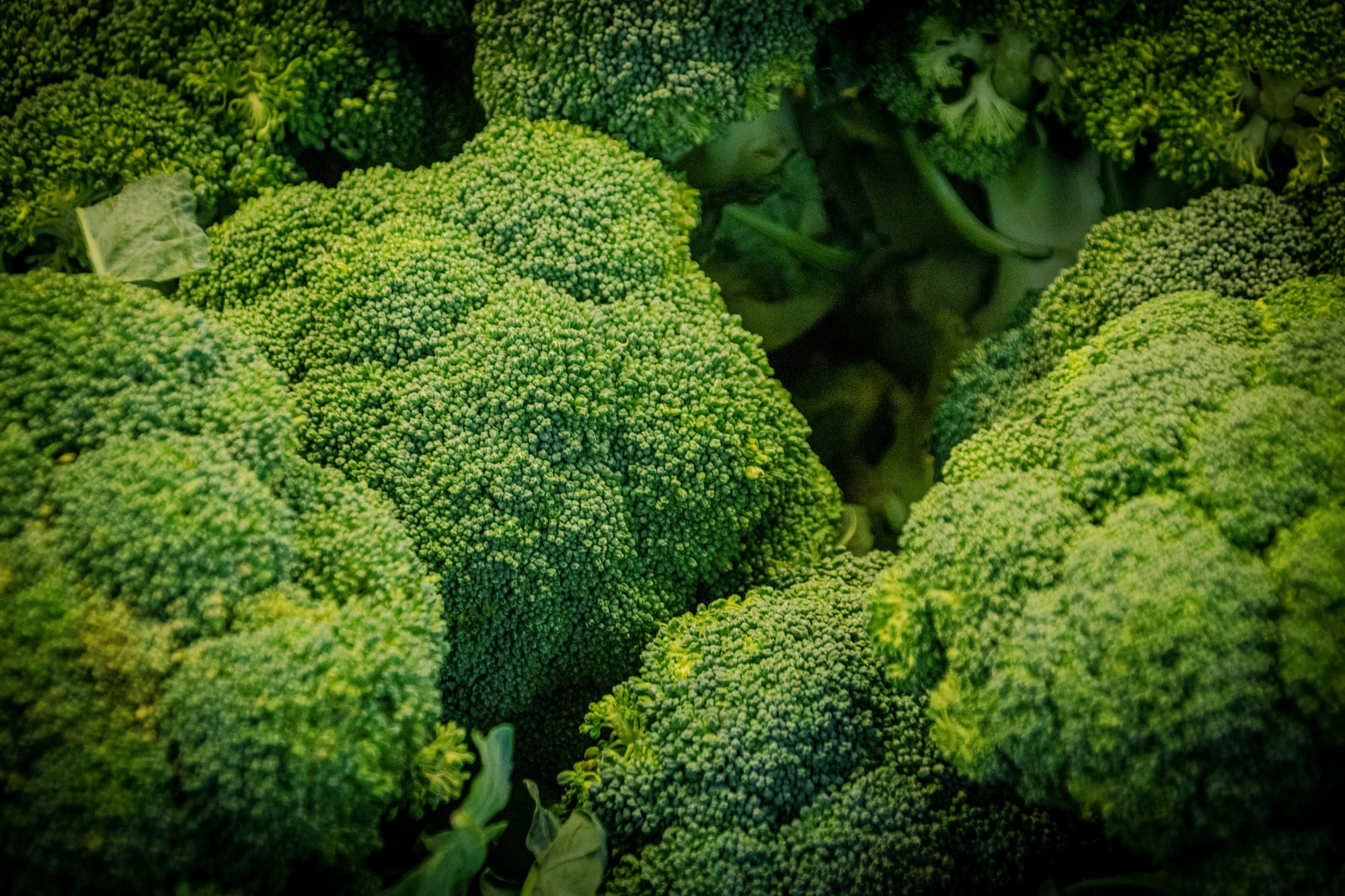 From Soil to Spoon: Essential Superfoods for Homesteaders