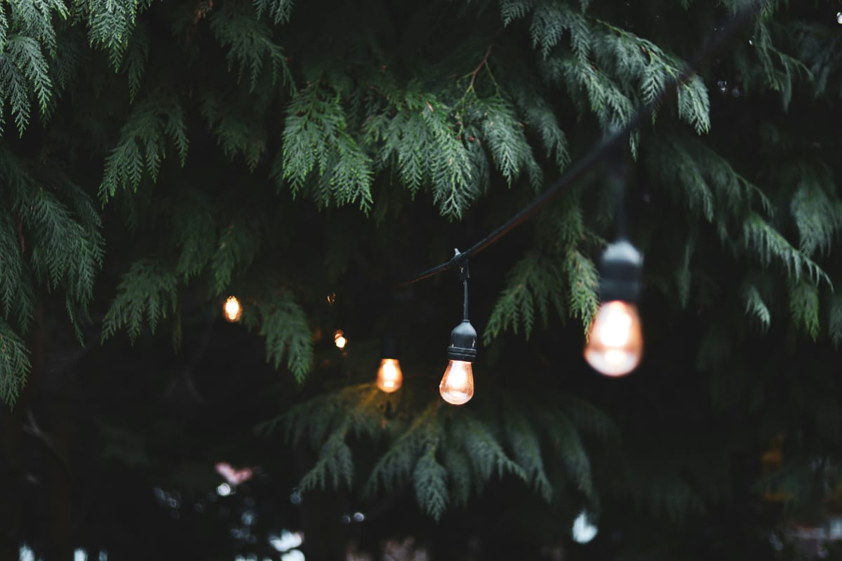 Illuminating Homesteads: Wildlife-Friendly Lighting Ideas for Sustainable Living