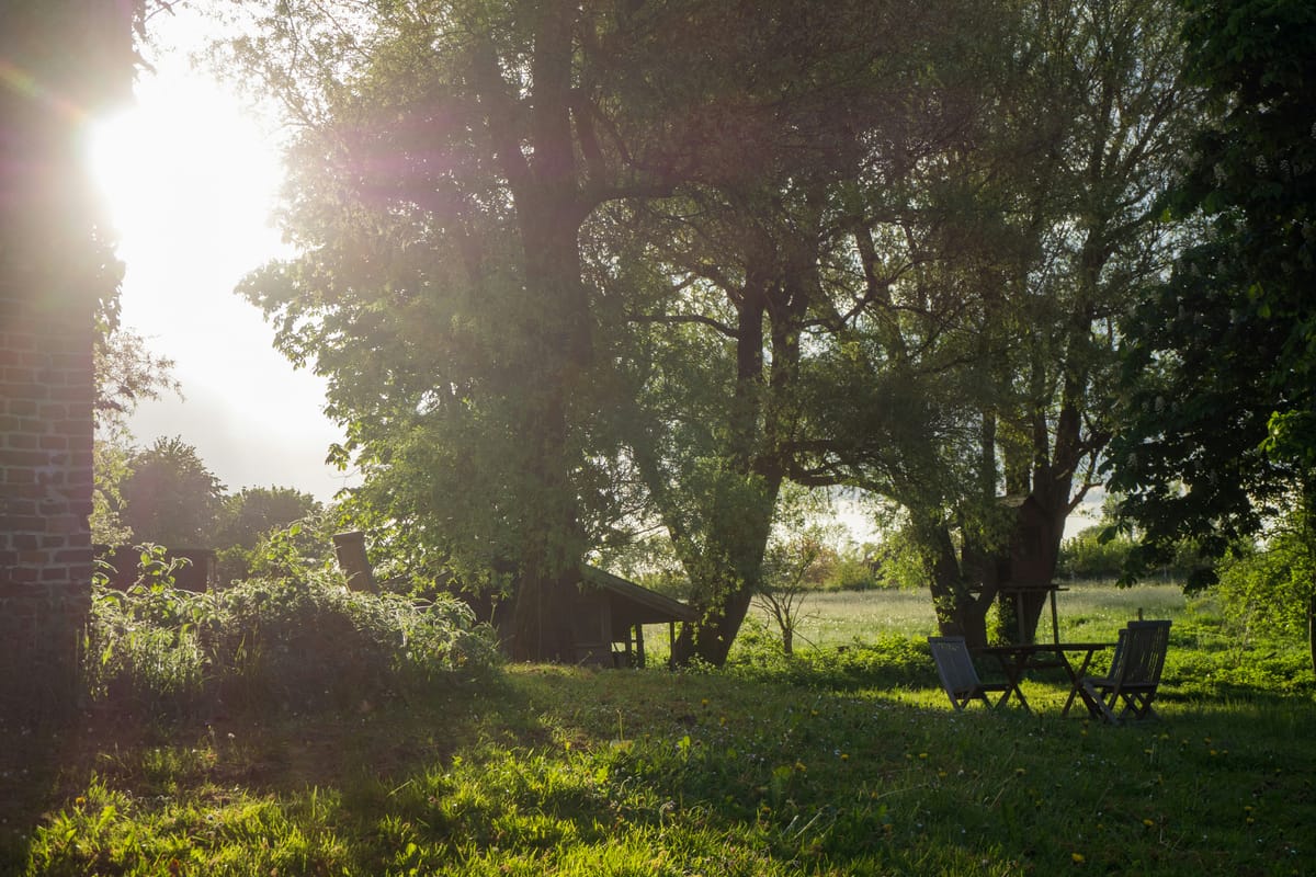 Mastering Summer: Ten Steps to Shield Your Homestead From the Heat