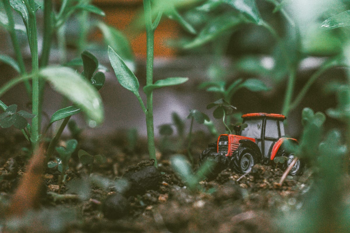 The Quiet Power of Regenerative Farming: Restoring Soil, Landscapes and Livelihoods