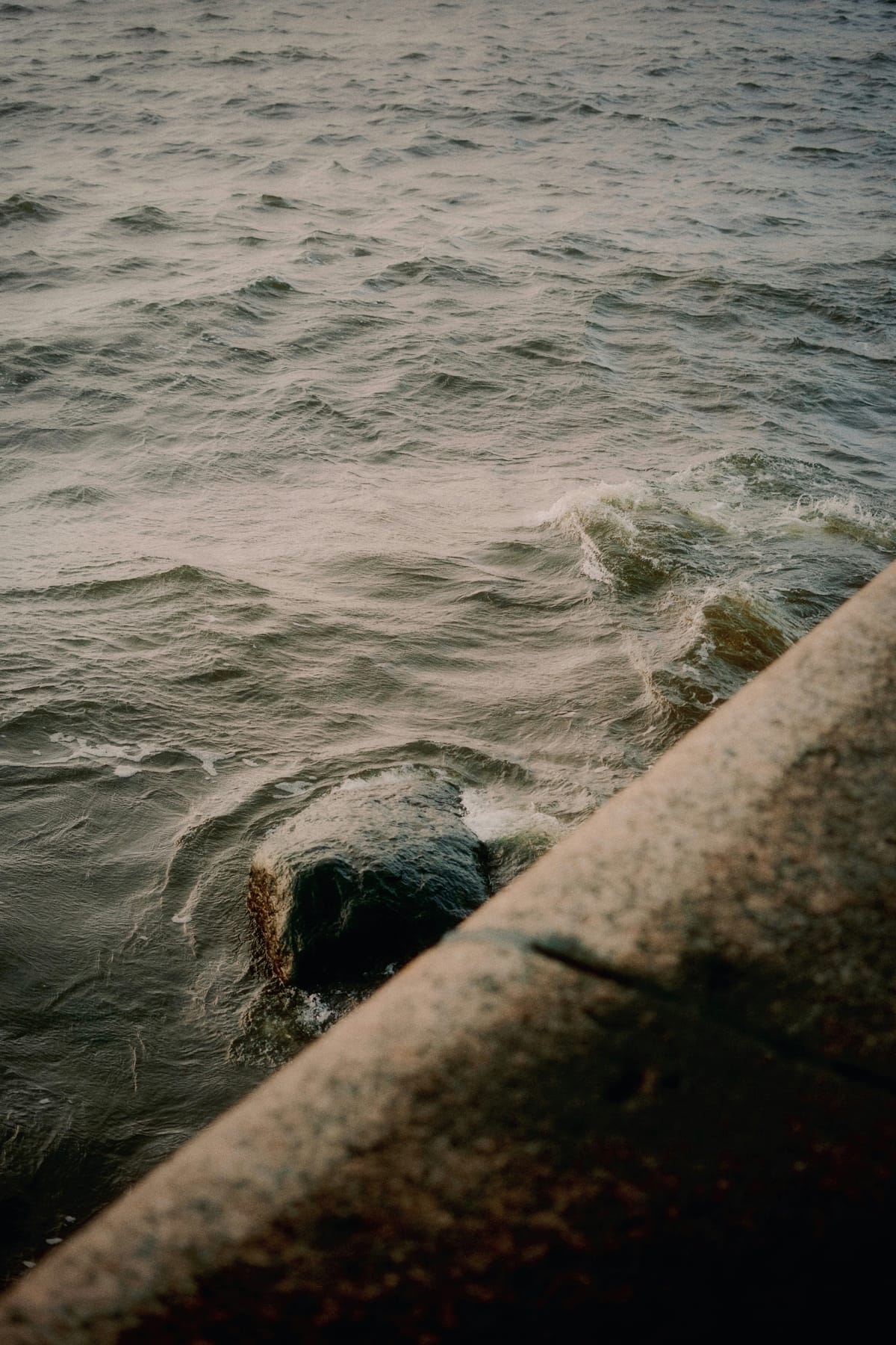 Lifestyle and Philosophy