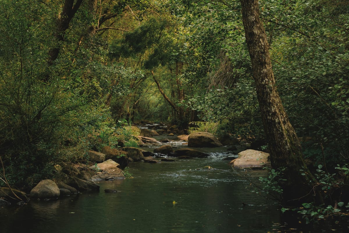 Sustainable Innovations