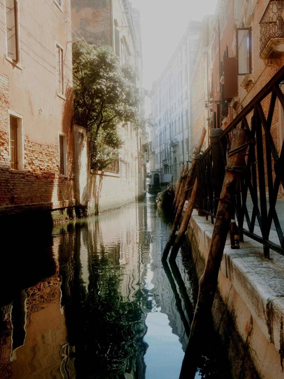 Sustainable Innovations