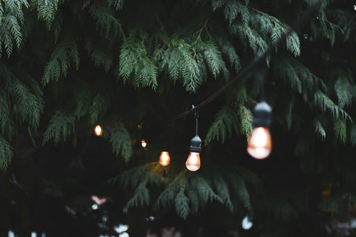Illuminating Homesteads: Wildlife-Friendly Lighting Ideas for Sustainable Living