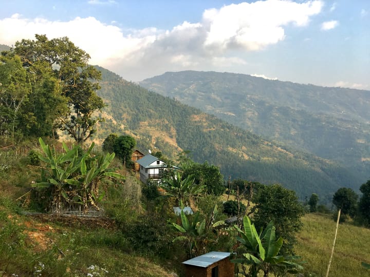 Revitalise Your Homestead: Mastering Mounded Planting for Superior Drainage and Plant Health