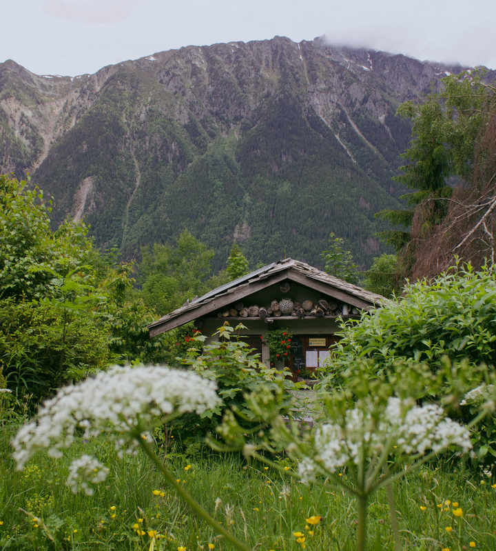 Homesteading in Chamonix: A Life Rooted in Tradition and Nature