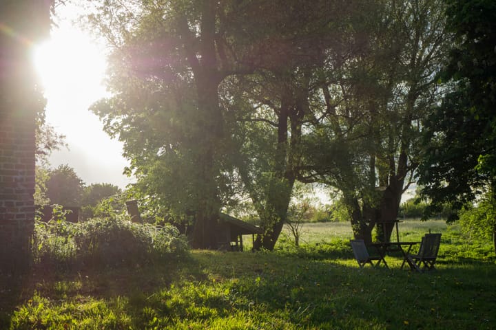 Mastering Summer: Ten Steps to Shield Your Homestead From the Heat