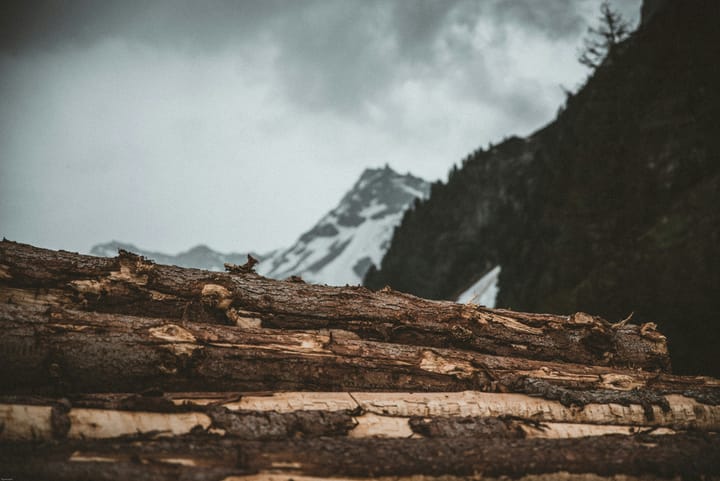 From Bark to Beam: Natural Methods for Durable Outdoor Carpentry