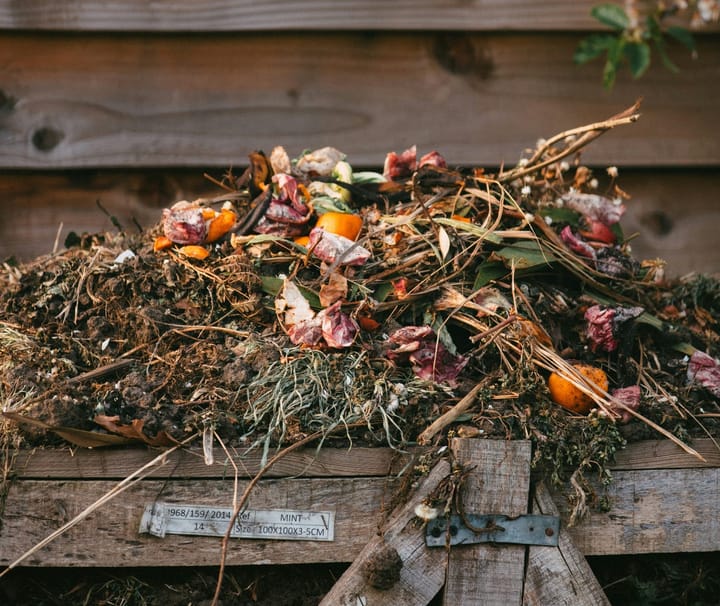 The Good Dirt: Why Organic Manure and Compost Outshine Chemical Fertilisers